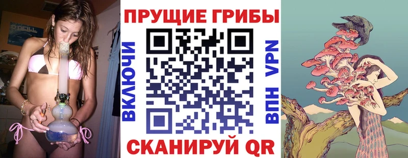 Купить  Томск  Псилоцибиновые грибы мухоморы
